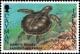 Colnect-5585-198-Kemp%E2%80%99s-Ridley-Sea-Turtle-Lepidochelys-kempii.jpg