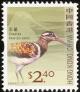 Colnect-832-011-Greater-Painted-snipe-Rostratula-benghalensis.jpg