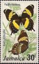 Colnect-748-670-Jamaican-Giant-Swallowtail-Papilio-homerus.jpg