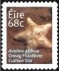 Colnect-2461-479-Cushion-Star-Asterina-gibbosa.jpg