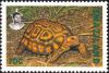 Colnect-2579-944-Natal-Hinged-Tortoise-Kinixys-natalensis.jpg