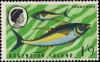 Colnect-3139-663-Yellowfin-Tuna--Thunnus-albacares.jpg