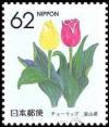 Colnect-512-948-Tulip-Toyama.jpg