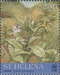 Colnect-4456-448-Lobelia-Trimeris-scaevolifolia.jpg