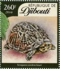 Colnect-4549-167-Common-box-turtle-Terrapene-carolina.jpg