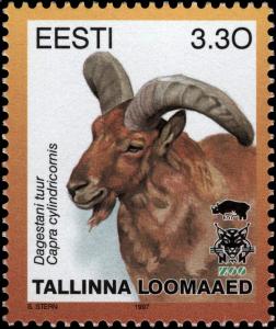Colnect-4835-710-East-Caucasian-Tur-Capra-ibex-cylindricornis.jpg