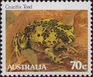 Colnect-1993-393-Crucifix-Toad-Notaden-bennettii.jpg