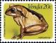 Colnect-1519-707-Mozambique-Forest-Tree-Frog-Leptopelis-mossambicus.jpg