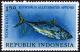 Colnect-2272-769-Mackerel-Tuna-Euthynnus-affinis.jpg