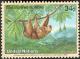 Colnect-2571-474-Hoffmann--s-Two-toed-Sloth-Choloepus-hoffmanni.jpg