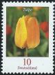 Colnect-2964-046-Tulipa---Tulip.jpg