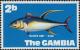 Colnect-5605-516-Yellowfin-Tuna--Thunnus-albacares.jpg