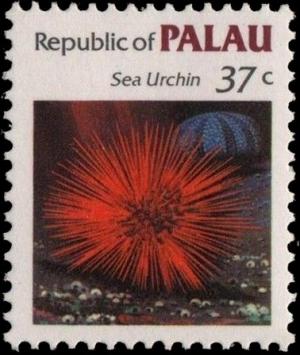 Colnect-2321-657-Red-Sea-Urchin-Diadema-palmeri.jpg