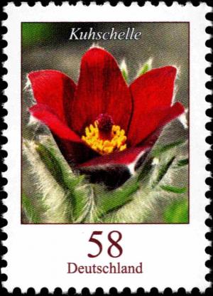 Colnect-5205-799-Pulsatilla-vulgaris---Pasque-Flower.jpg