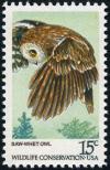 Colnect-4845-809-Northern-Saw-whet-Owl-Aegolius-acadicus.jpg