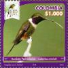 Colnect-5965-088-Purple-throated-Woodstar-Calliphlox-mitchelli.jpg