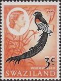 Colnect-2906-240-Long-tailed-Widowbird-Euplectes-progne.jpg