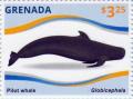 Colnect-3014-877-Short-finned-Pilot-Whale-Globicephala-macrorhynchus.jpg