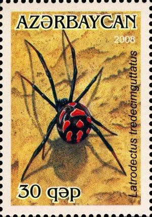 Colnect-1603-642-Mediterranean-Black-Widow-Latrodectus-tredecimguttatus.jpg