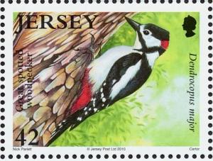 Colnect-5233-643-Great-Spotted-Woodpecker-Dendrocopos-major.jpg
