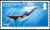 Colnect-3521-054-Antarctic-Minke-Whale-Balaenoptera-bonaerensis.jpg