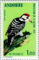 Colnect-141-903-Lesser-Spotted-Woodpecker-Dendrocopos-minor.jpg