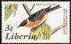 Colnect-1641-773-Bay-breasted-Warbler-Dendroica-castanea-.jpg