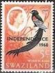 Colnect-1706-347-Long-tailed-Widowbird-Euplectes-progne.jpg