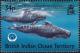 Colnect-3658-028-Short-finned-Pilot-Whale-Globicephala-macrorhynchus.jpg