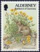 Colnect-5180-989-Flax-leaved-St-John-s-wort-Hypericum-linifolium-Greater-W.jpg