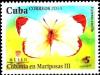 Colnect-2859-591-Cuban-Yellow-Eurema-amelia.jpg
