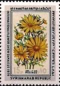 Colnect-2181-812-Yellow-daisies.jpg