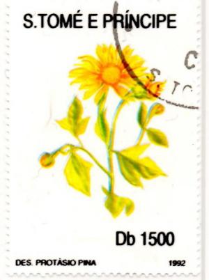 Colnect-2003-313-Yellow-flower.jpg