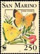 Colnect-481-551-Clouded-Yellow-Colias-crocea.jpg