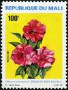 Colnect-1049-613-Flowers---Hibiscus-rosa-sinensis.jpg
