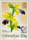 Colnect-120-757-Singapore---95---Brown-Bee-Orchid.jpg