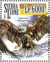 Colnect-3566-000-Bald-Eagle---Haliaeetus-leucocephalus.jpg