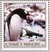 Colnect-3684-170-Gentoo-Penguin-nbsp--nbsp--nbsp--nbsp-Pygoscelis-papua.jpg