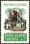 Colnect-4010-709-Stuffed-Elephant--Ahmed--Kenyan-National-Museum.jpg