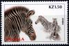 Colnect-4438-513-Zebra-Equus-sp.jpg