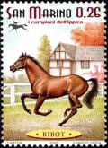 Colnect-1018-250--Ribot--Equus-ferus-caballus.jpg