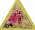 Colnect-2043-599-Flowers---Tessaria-absinthioides.jpg