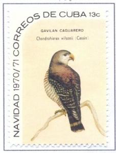 Colnect-2510-899-Cuba-long-beak-Milan---Chondrohierax-uncinatus-wilsonii.jpg