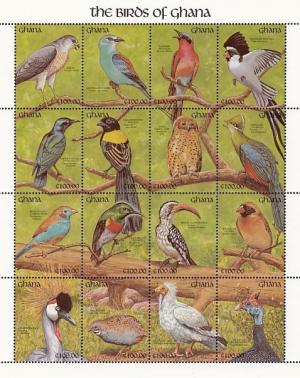 Colnect-1459-805-Birds-of-Ghana---Mini-Sheet-with-MiNo-1562-77.jpg