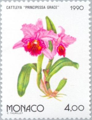 Colnect-149-408-Orchid--Principessa-Grace-.jpg