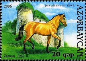 Colnect-1603-547-Karabakh-Horse--Zaman--Equus-ferus-caballus.jpg