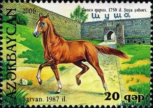 Colnect-1603-548-Karabakh-Horse--Sarvan--Equus-ferus-caballus.jpg