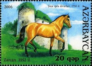 Colnect-1603-552-Karabakh-Horse--Zaman--Equus-ferus-caballus.jpg
