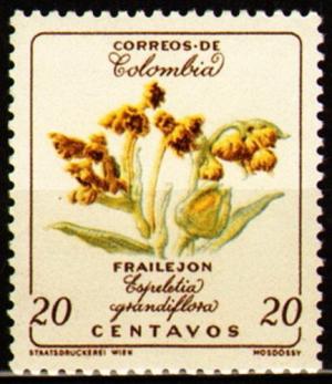 Colnect-3220-351-Frailejon---Espeletia-grandiflora.jpg