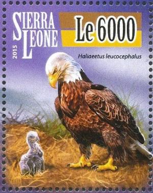 Colnect-3565-968-Bald-Eagle%C2%A0-%C2%A0Haliaeetus-leucocephalus.jpg
